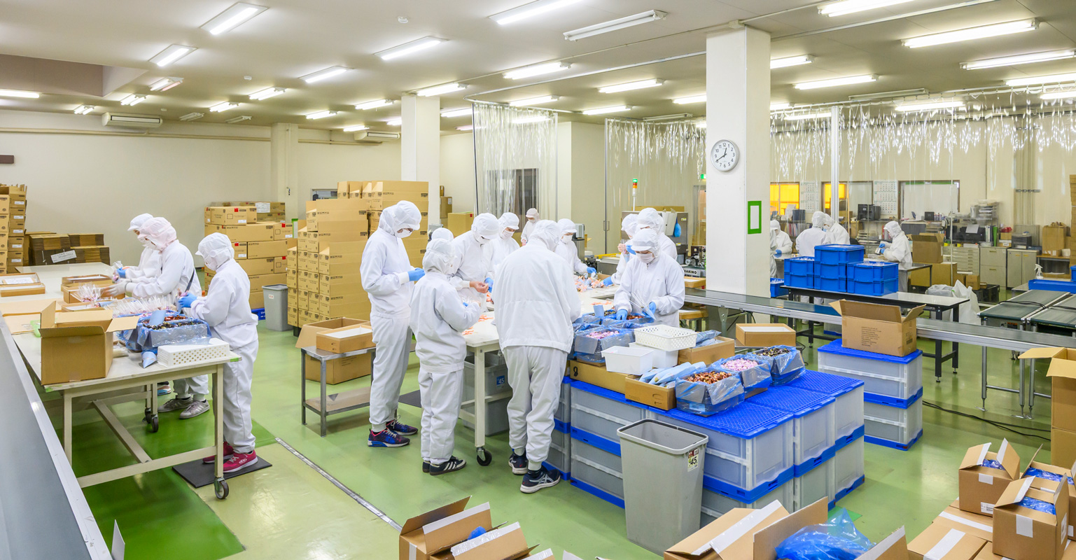 アッセンブリ事業 - 一次包装から対応できるアッセンブリ加工